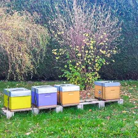 Vakantiehuis Awesome In Saint Leu With Wifi Huby-Saint-Leu