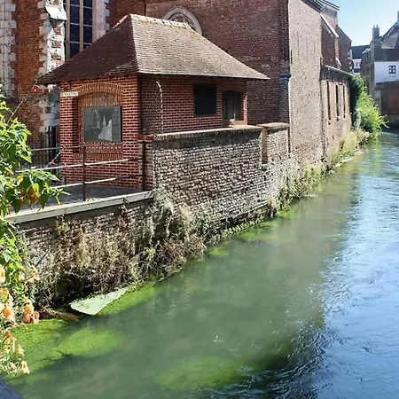 Awesome In Saint Leu With Wifi 度假居