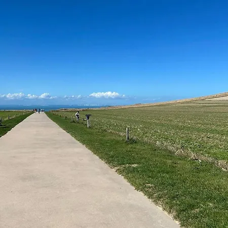 Vakantiehuis Awesome In Saint Leu With Wifi *